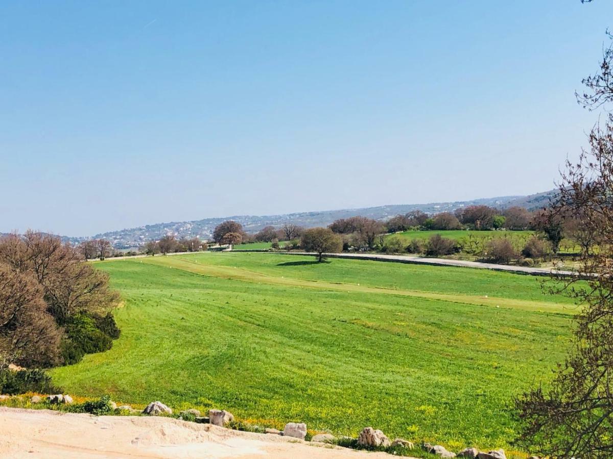 Masseria Paretano Villa อัลเบโรเบลโล ภายนอก รูปภาพ